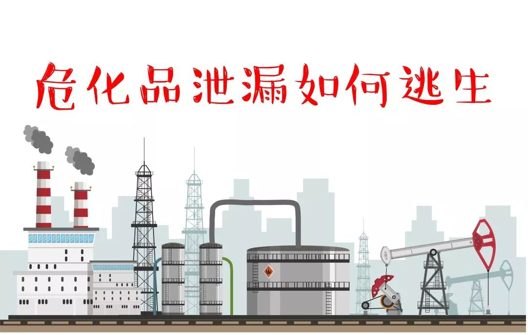 圖片24