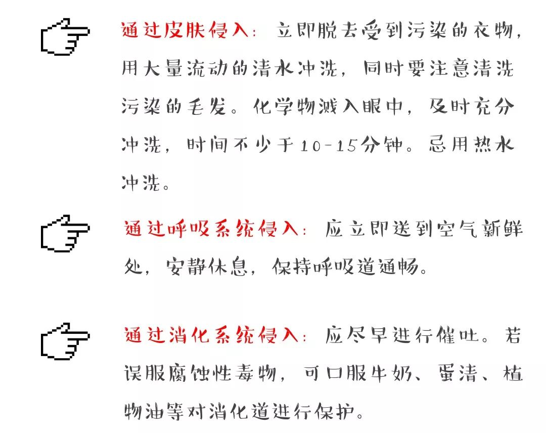 圖片28